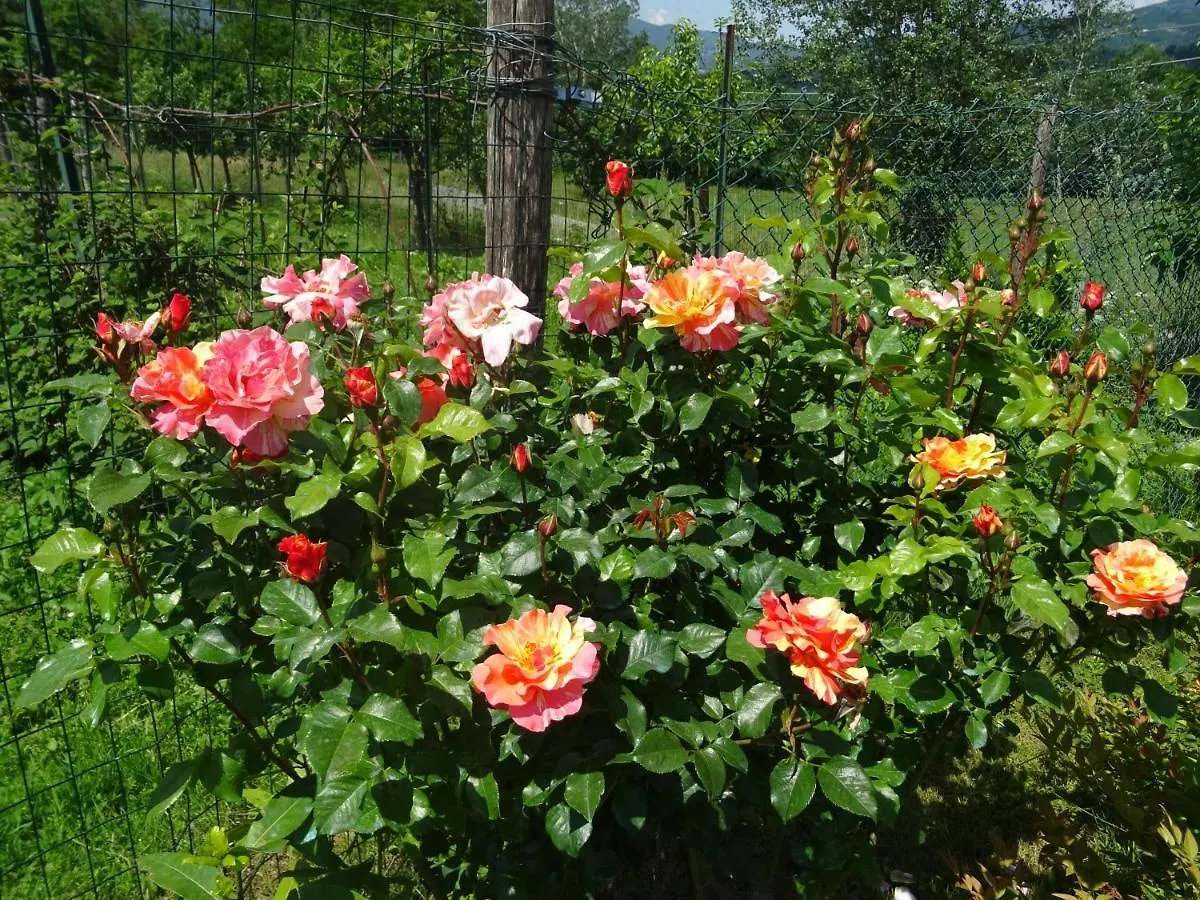 Affittacamere La Fattoria al Crocefisso Pieve Fosciana Italia